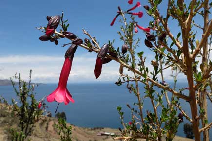 Imizamo Yethu township, k�yhien asuinaluetta.